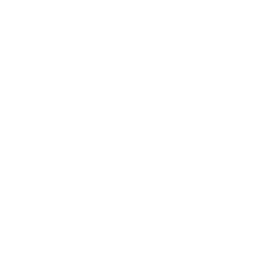 STEWARDSHIP